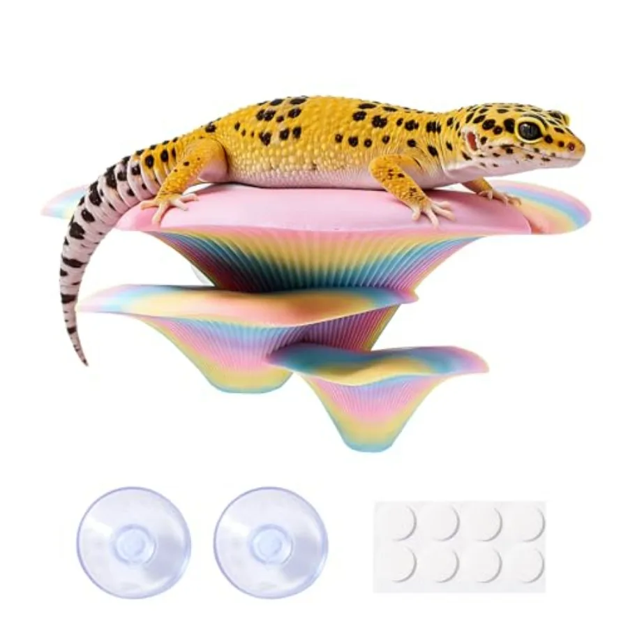 Mushroom Reptile Tank Decor, Mushroom Climbing and Resting Platform Habitat for Tree Frog Terrarium, Reptile Ledge for Leopard
Mushroom Reptile Tank Decor, Mushroom Climbing and Resting Platform Habitat for Tree Frog Terrarium, Reptile Ledge for Leopard