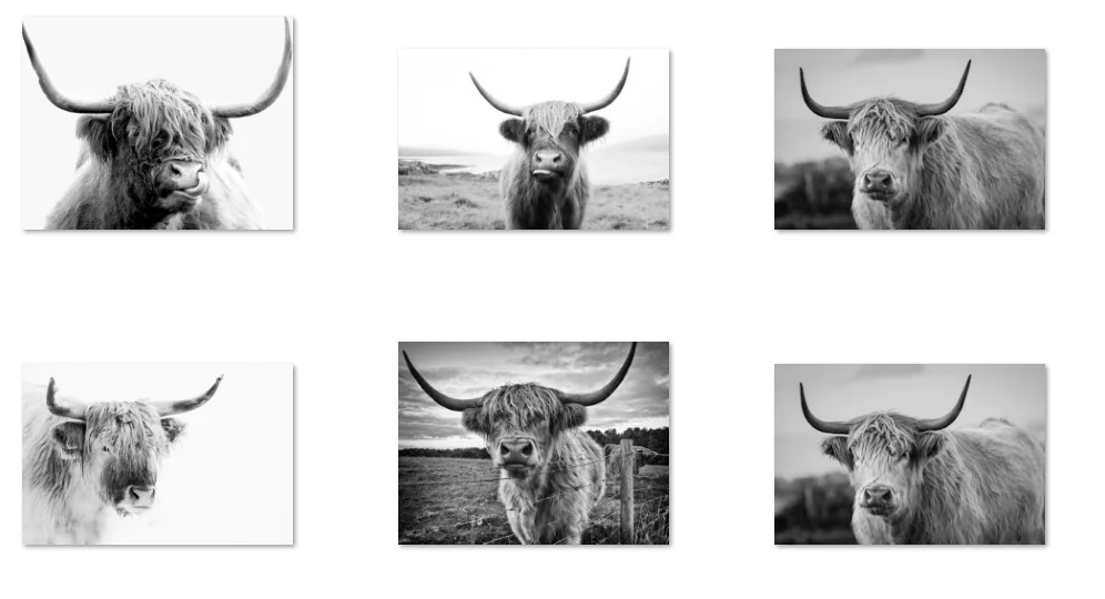 10Style Choose Funny Highland Cow Black White Canvas POSTER ,Home Decor Wall art painting
10Style Choose Funny Highland Cow Black White Canvas POSTER ,Home Decor Wall art painting