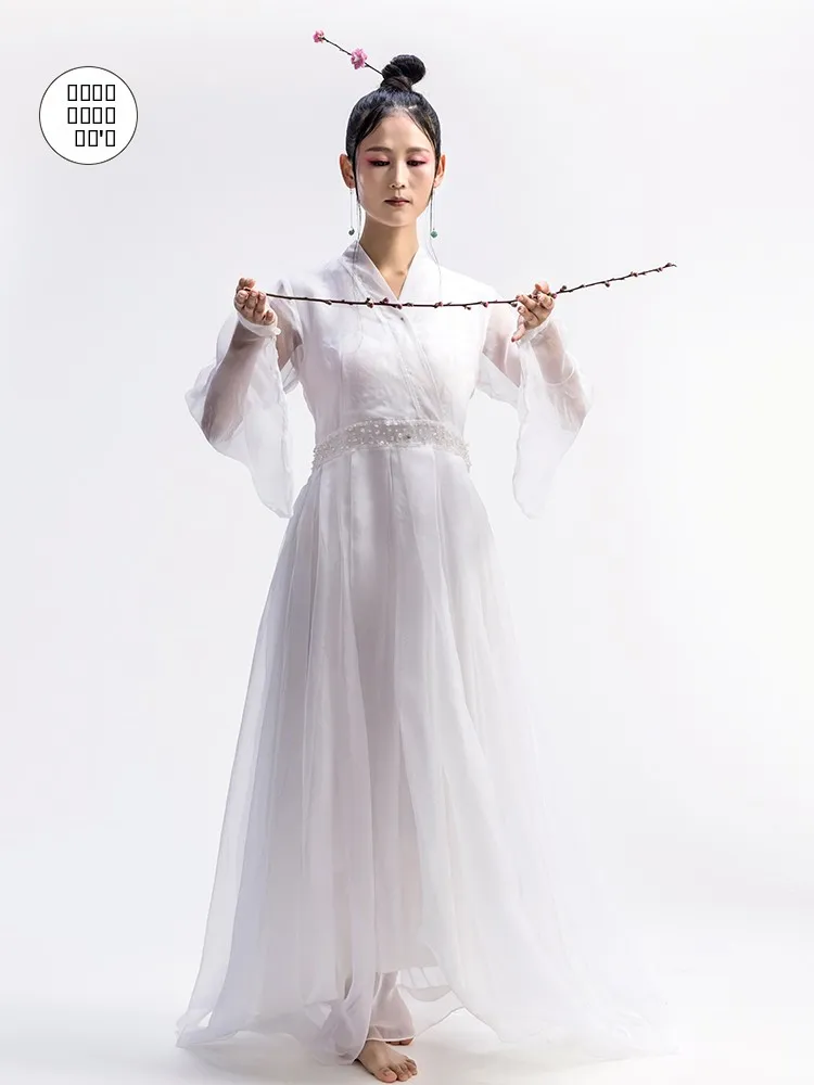 Ele Silk Long Dr Women's Summer Slim Fit Fairy Skirt Chinese Sle Floral Print Maxi Dr Romantic Poetic Hanfu Gown
Ele Silk Long Dr Women's Summer Slim Fit Fairy Skirt Chinese Sle Floral Print Maxi Dr Romantic Poetic Hanfu Gown