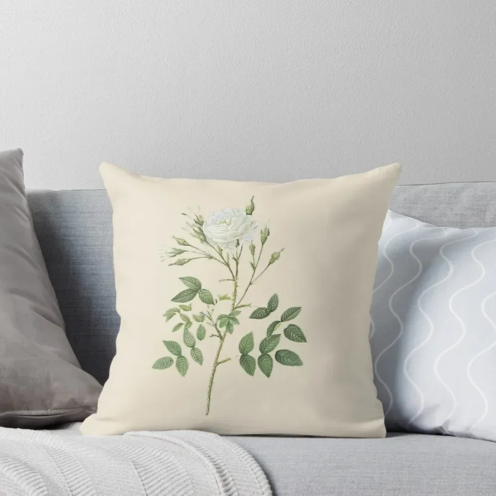 Vintage Rose of Rosenberg Art - Pierre-Joseph Redouté Throw Throw Pillow Christmas Pillowcase christmas decorations 2025 pillow
Vintage Rose of Rosenberg Art - Pierre-Joseph Redouté Throw Throw Pillow Christmas Pillowcase christmas decorations 2025 pillow