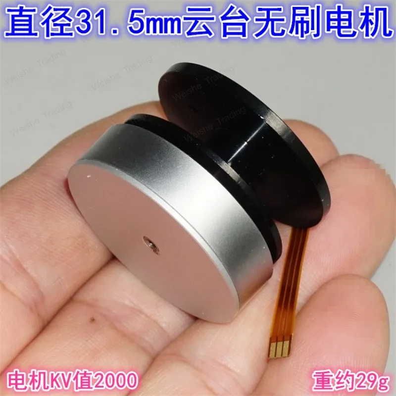 31.5Mm outer rotor brushless motor KV2000 ball bearing three-phase brushless motor motor
31.5Mm outer rotor brushless motor KV2000 ball bearing three-phase brushless motor motor