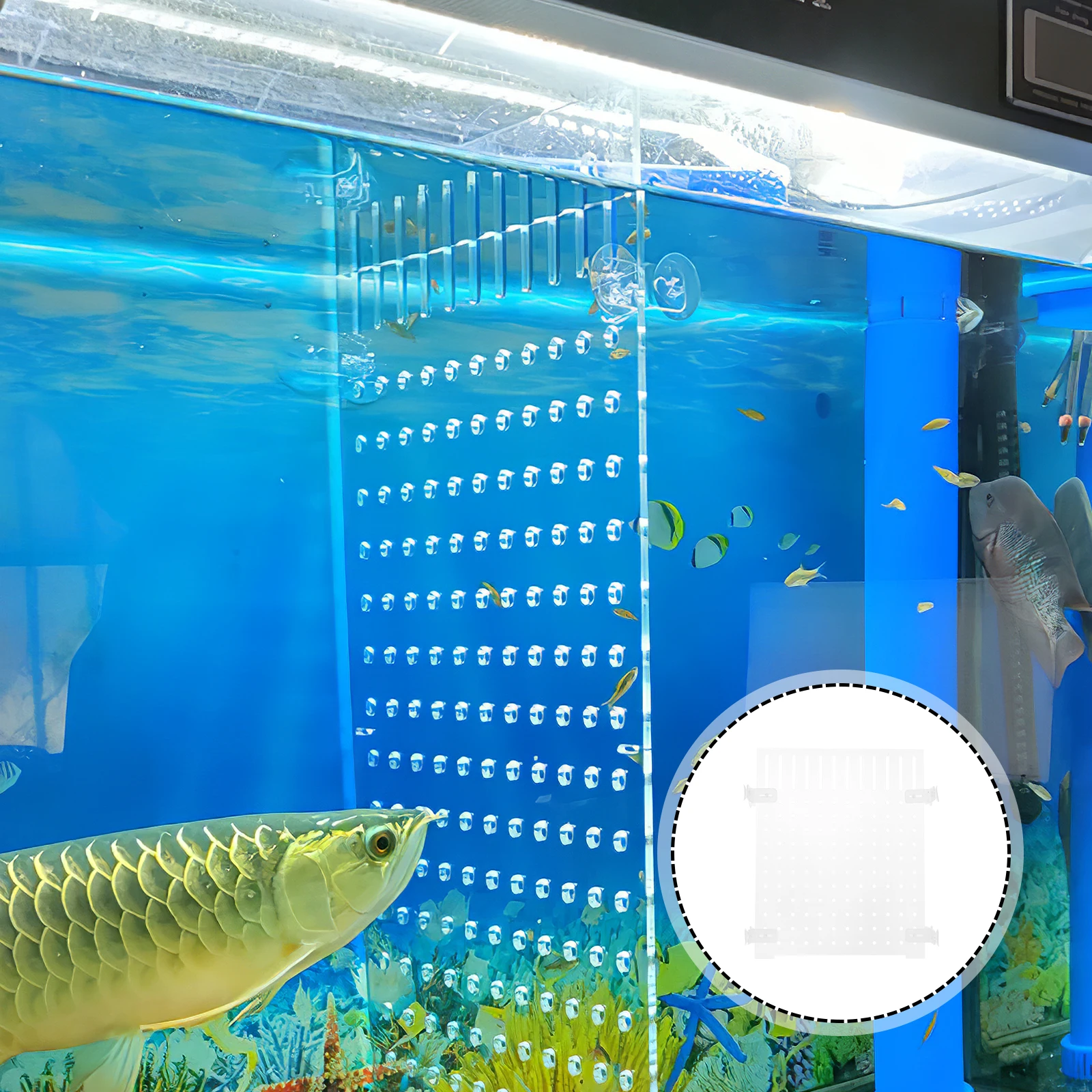 Acrylic Isolation Board 25x30cm Fish Tank Divider Transparent Aquarium Separator with Splice Design for Betta Tank Accessory
Acrylic Isolation Board 25x30cm Fish Tank Divider Transparent Aquarium Separator with Splice Design for Betta Tank Accessory