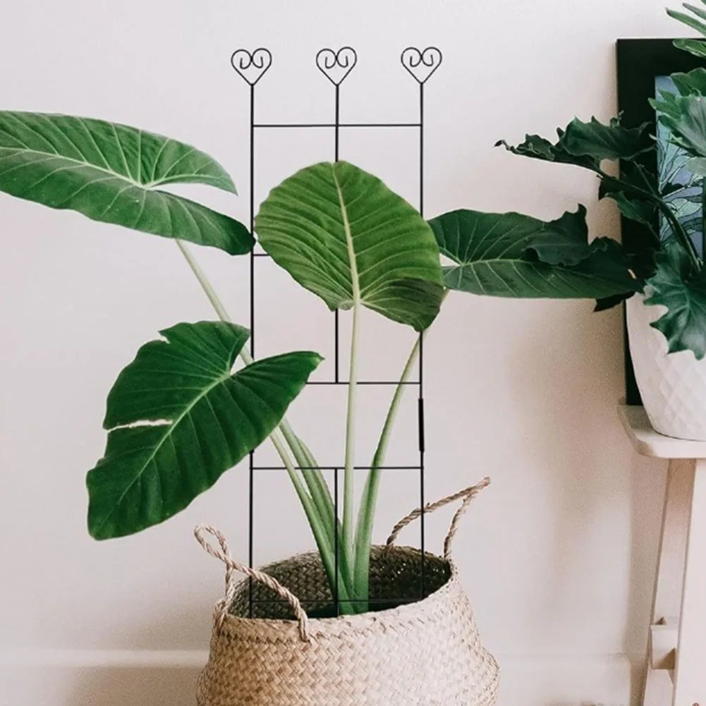 3 Pack Climbing Frame Metal Trellis for Vines Support For Durable Black Iron For Indoor and Outdoor Garden Use
3 Pack Climbing Frame Metal Trellis for Vines Support For Durable Black Iron For Indoor and Outdoor Garden Use
