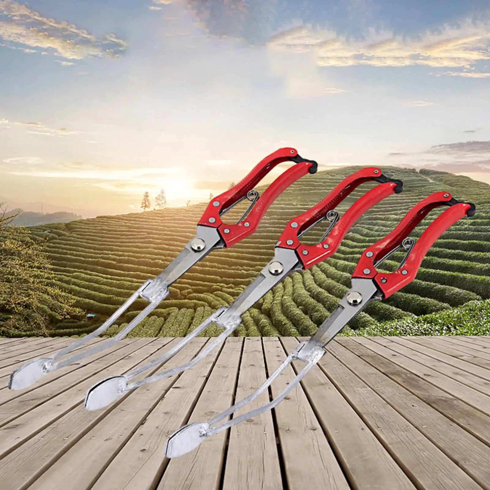 Seedling Planter Tool Handled Manual Iron Transplanting Tool Manual Seedling Planter For Corn Lawn Grass Gardening Farming
Seedling Planter Tool Handled Manual Iron Transplanting Tool Manual Seedling Planter For Corn Lawn Grass Gardening Farming