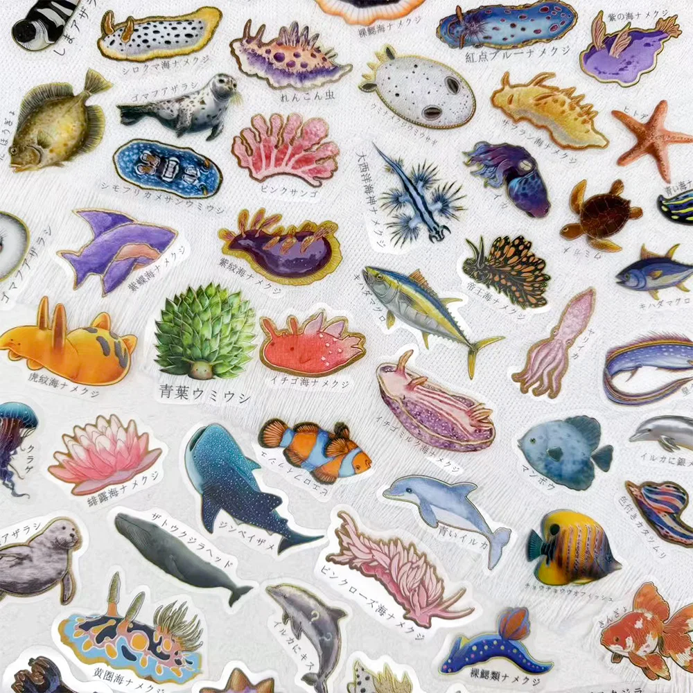 50pcs Japanese Creature Transparent PET Stickers Decals For Phone Laptop Notebook Suitcase Skateboard DIY Aesthetic Stickers
50pcs Japanese Creature Transparent PET Stickers Decals For Phone Laptop Notebook Suitcase Skateboard DIY Aesthetic Stickers