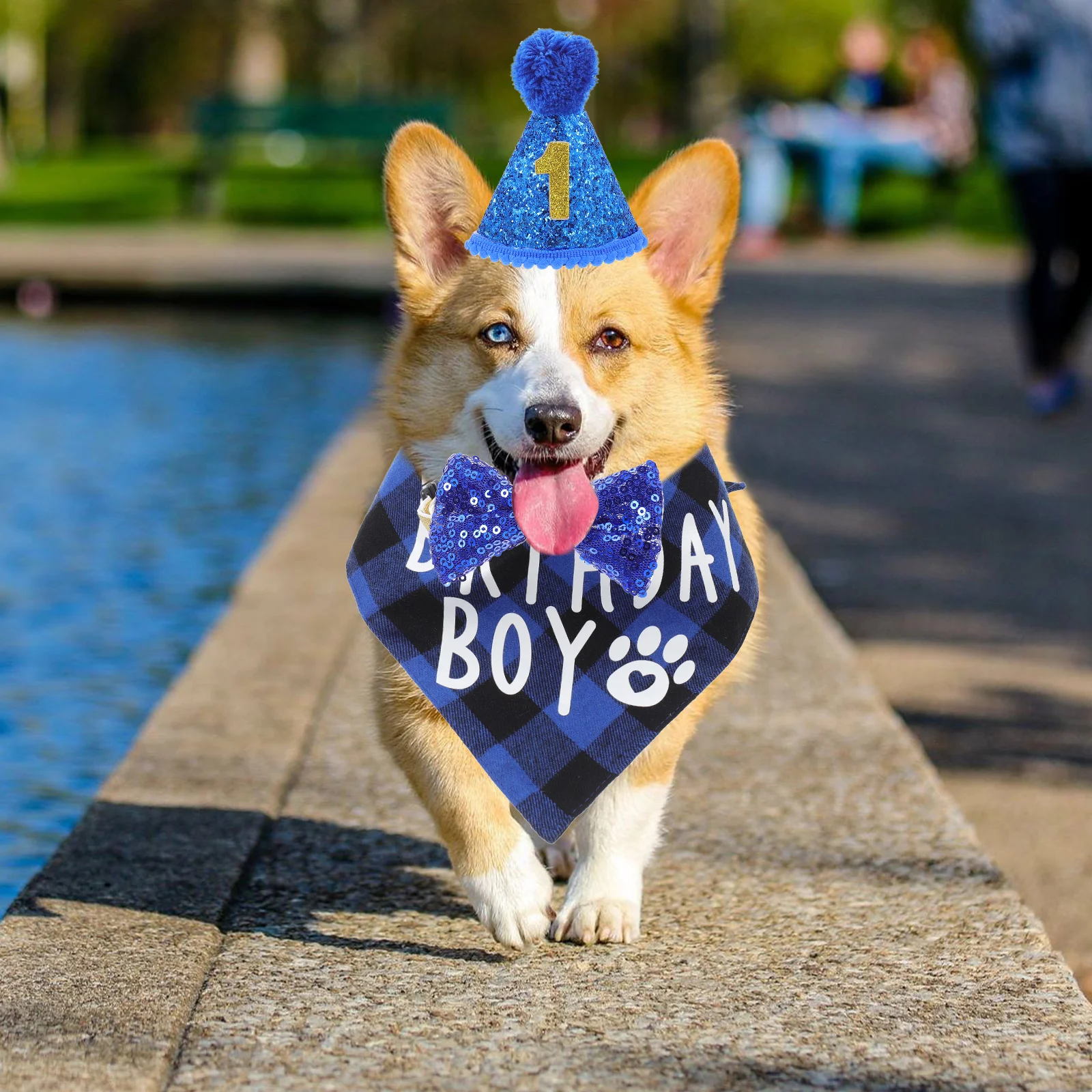 from Pet Birthday Decoration Set Turban Dog Collar and Headdress Pets Blue Bandana Boy
from Pet Birthday Decoration Set Turban Dog Collar and Headdress Pets Blue Bandana Boy