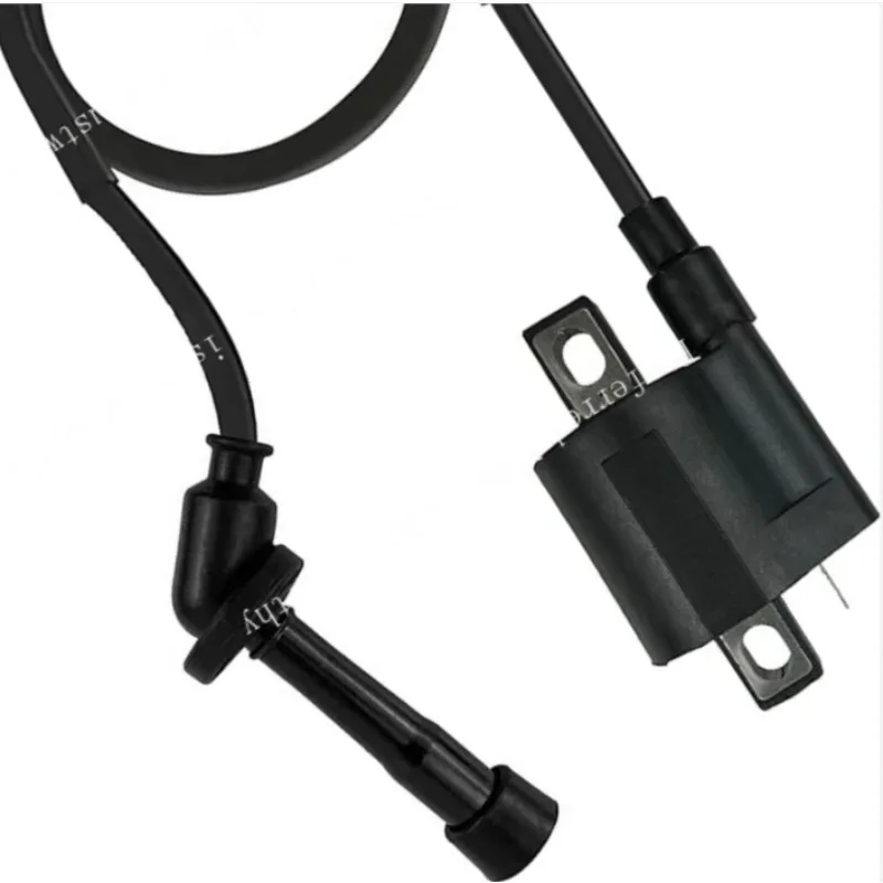 Suitable for Beach Motorcycle Ignition Coil 33410-09F00 High Voltage Pack LTZ400
Suitable for Beach Motorcycle Ignition Coil 33410-09F00 High Voltage Pack LTZ400