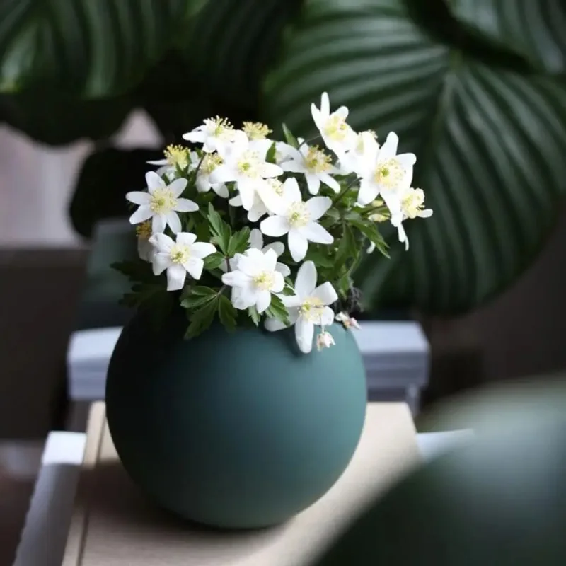 Morandi Vase Home Decor декор для дома Living Room Table Decoration Ornaments Light Luxury Round Ceramic Vase Multcolored вазы
Morandi Vase Home Decor декор для дома Living Room Table Decoration Ornaments Light Luxury Round Ceramic Vase Multcolored вазы