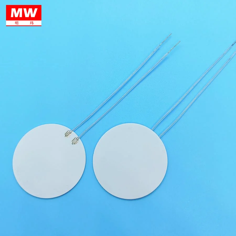 Factory Supply Metal Alumina Ceramic Heating Plate MCH Al2O3 Round Heater Dia 40mm
Factory Supply Metal Alumina Ceramic Heating Plate MCH Al2O3 Round Heater Dia 40mm