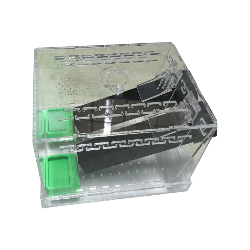 Plastic Insect Keeper Tanks with Removable Base and Double Feeding Stations
Plastic Insect Keeper Tanks with Removable Base and Double Feeding Stations