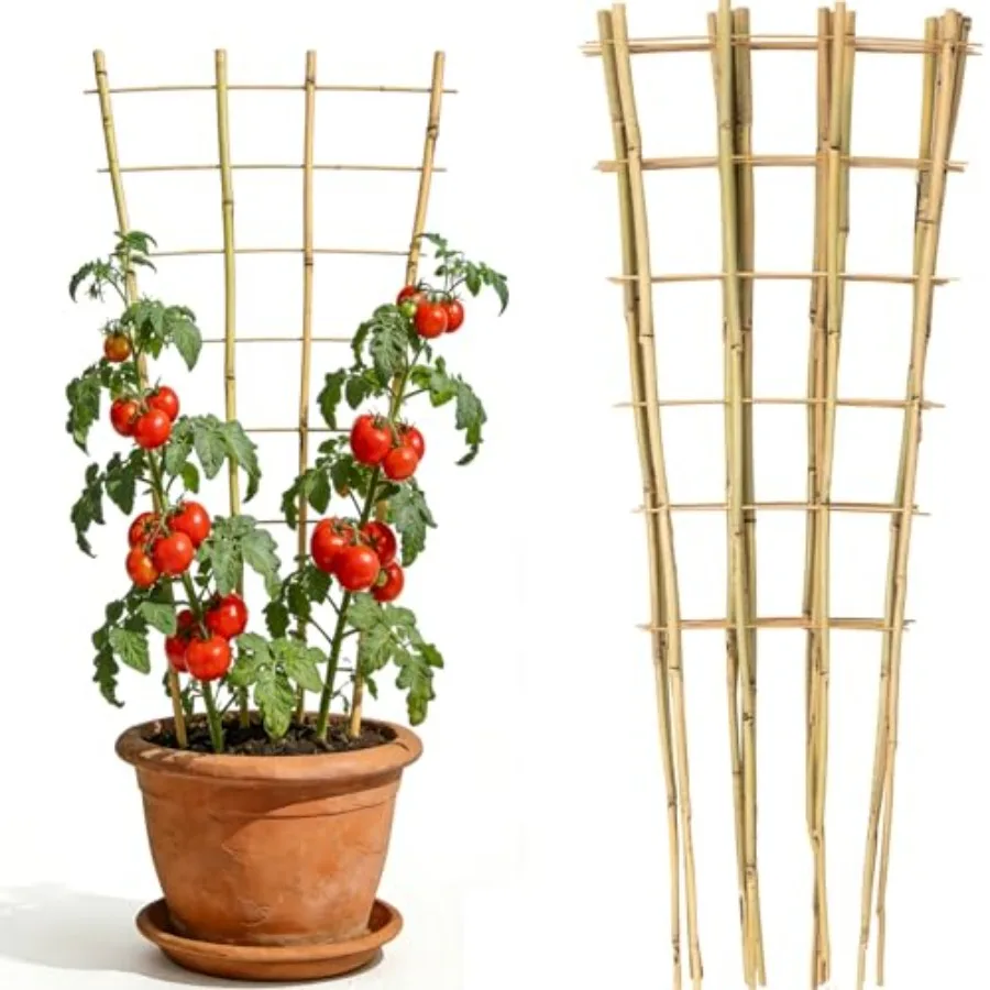 4 Feet Natural Bamboo Trellis 3 Pack Fan-Shaped Plant Support Trellis for Outdoor and Indoor Climbing Plants Potted Plants Vege
4 Feet Natural Bamboo Trellis 3 Pack Fan-Shaped Plant Support Trellis for Outdoor and Indoor Climbing Plants Potted Plants Vege