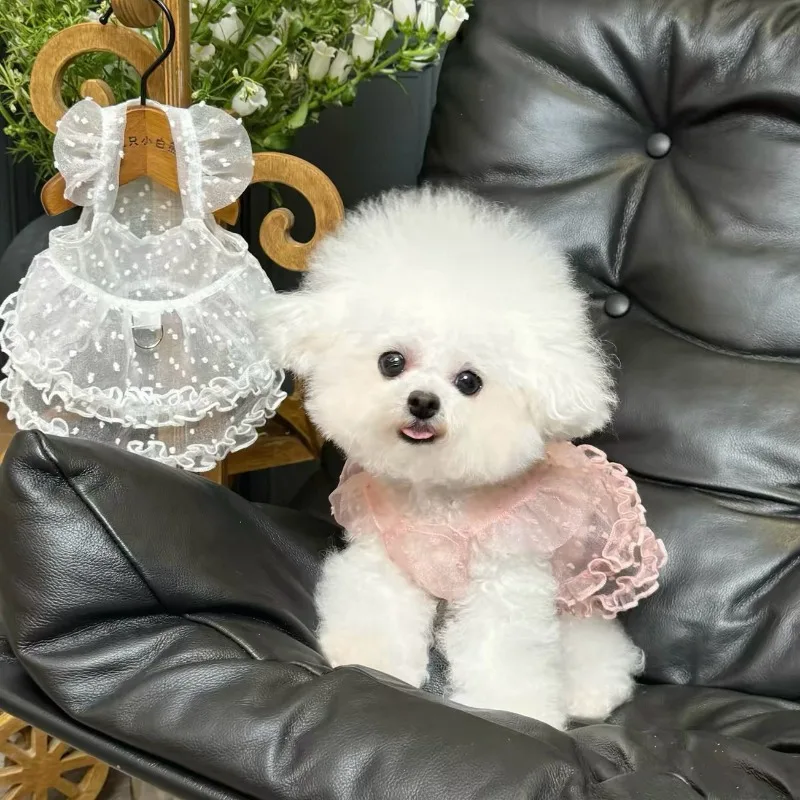 Lace Mesh Pet Dress Summer Princess Style Dog Clothes Maltese Breathable Suspender Sweet Little Dog Skirt
Lace Mesh Pet Dress Summer Princess Style Dog Clothes Maltese Breathable Suspender Sweet Little Dog Skirt