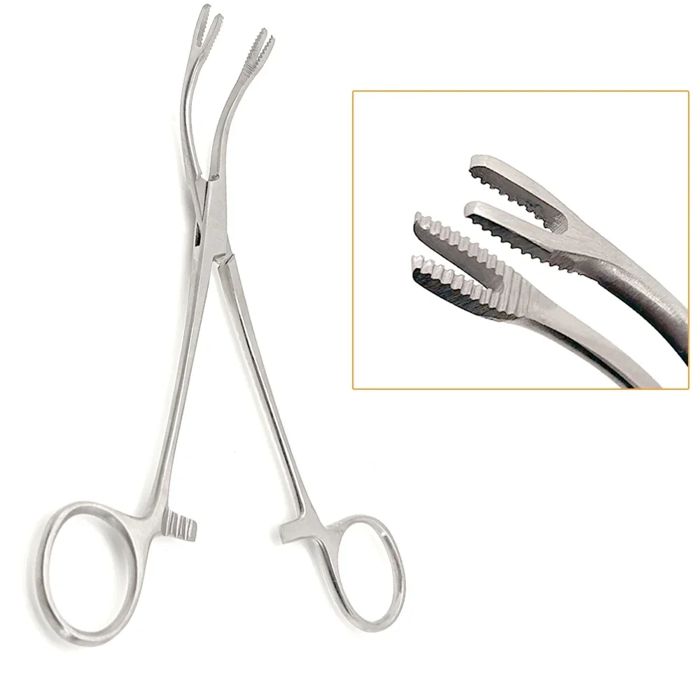 17Cm Stainless Steel Dental Bone Graft Holding Forcep Bone Fragment Gripper Surgical Plier Dental Tools
17Cm Stainless Steel Dental Bone Graft Holding Forcep Bone Fragment Gripper Surgical Plier Dental Tools