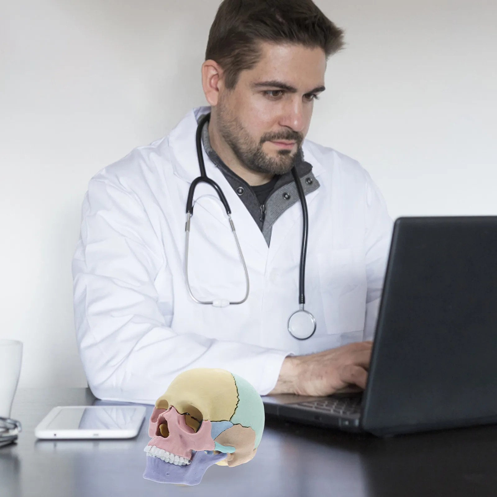 Detachable Human Skull Colored Anatomy Teaching Equipment Realistic Exploded Skull Head for Teaching Anatomy Models
Detachable Human Skull Colored Anatomy Teaching Equipment Realistic Exploded Skull Head for Teaching Anatomy Models