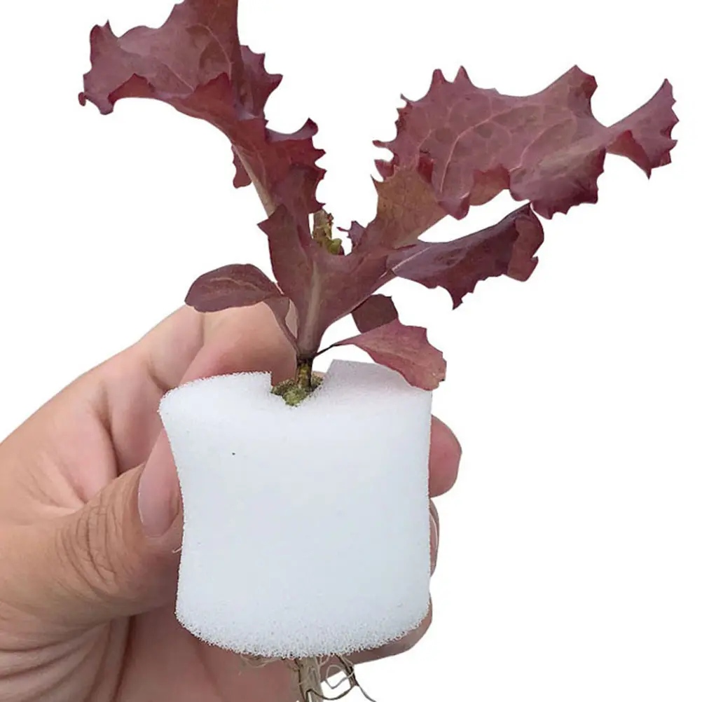 120pcs Hydroponic Sponge Vegetable Growing Blocks Soilless Cultivation Sponges For Gardening Tools White Planting Blocks Space
120pcs Hydroponic Sponge Vegetable Growing Blocks Soilless Cultivation Sponges For Gardening Tools White Planting Blocks Space
