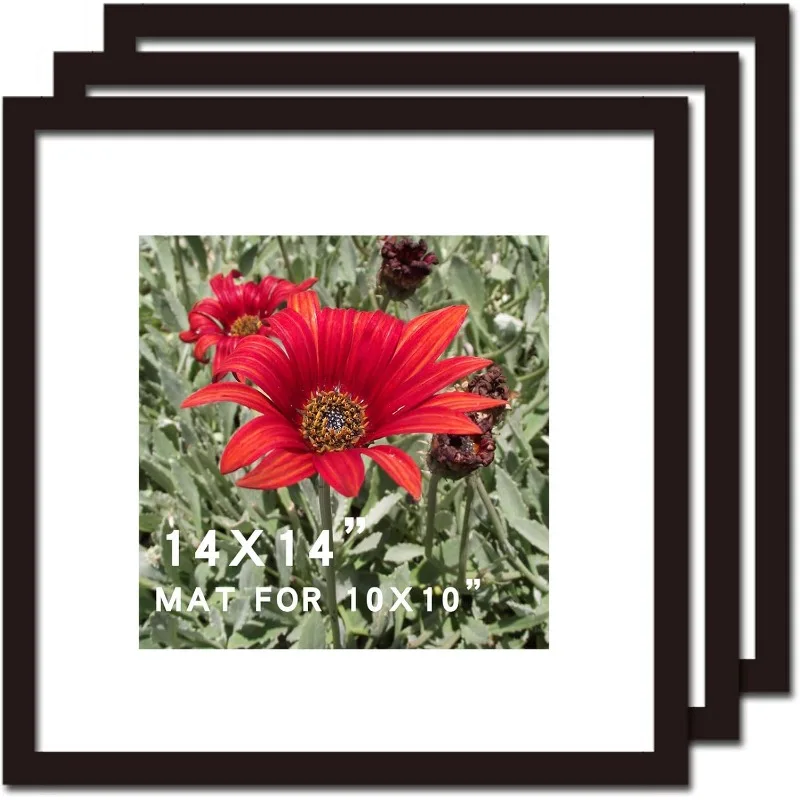 14x14 Picture Frame Black 3 Pack Solid Wood for Mat 10x10 Wall Mounting Square Poster Photo Frames
14x14 Picture Frame Black 3 Pack Solid Wood for Mat 10x10 Wall Mounting Square Poster Photo Frames