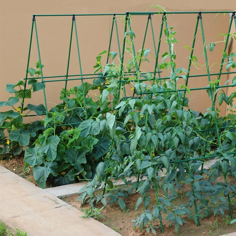1.6cmx60cm set, suitable for vegetable and cucumber planting brackets, used for home and outdoor gardening H0983
1.6cmx60cm set, suitable for vegetable and cucumber planting brackets, used for home and outdoor gardening H0983