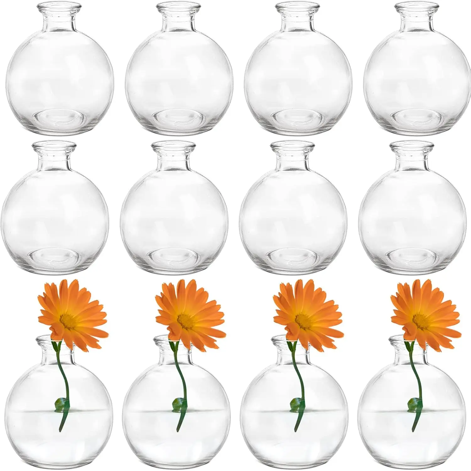 Set of 12 Small Glass Ball Bud Vase, Unique Mini Low Sitting Flower Vase, Clear Floral Centerpieces for Home Decor, Wedd
Set of 12 Small Glass Ball Bud Vase, Unique Mini Low Sitting Flower Vase, Clear Floral Centerpieces for Home Decor, Wedd