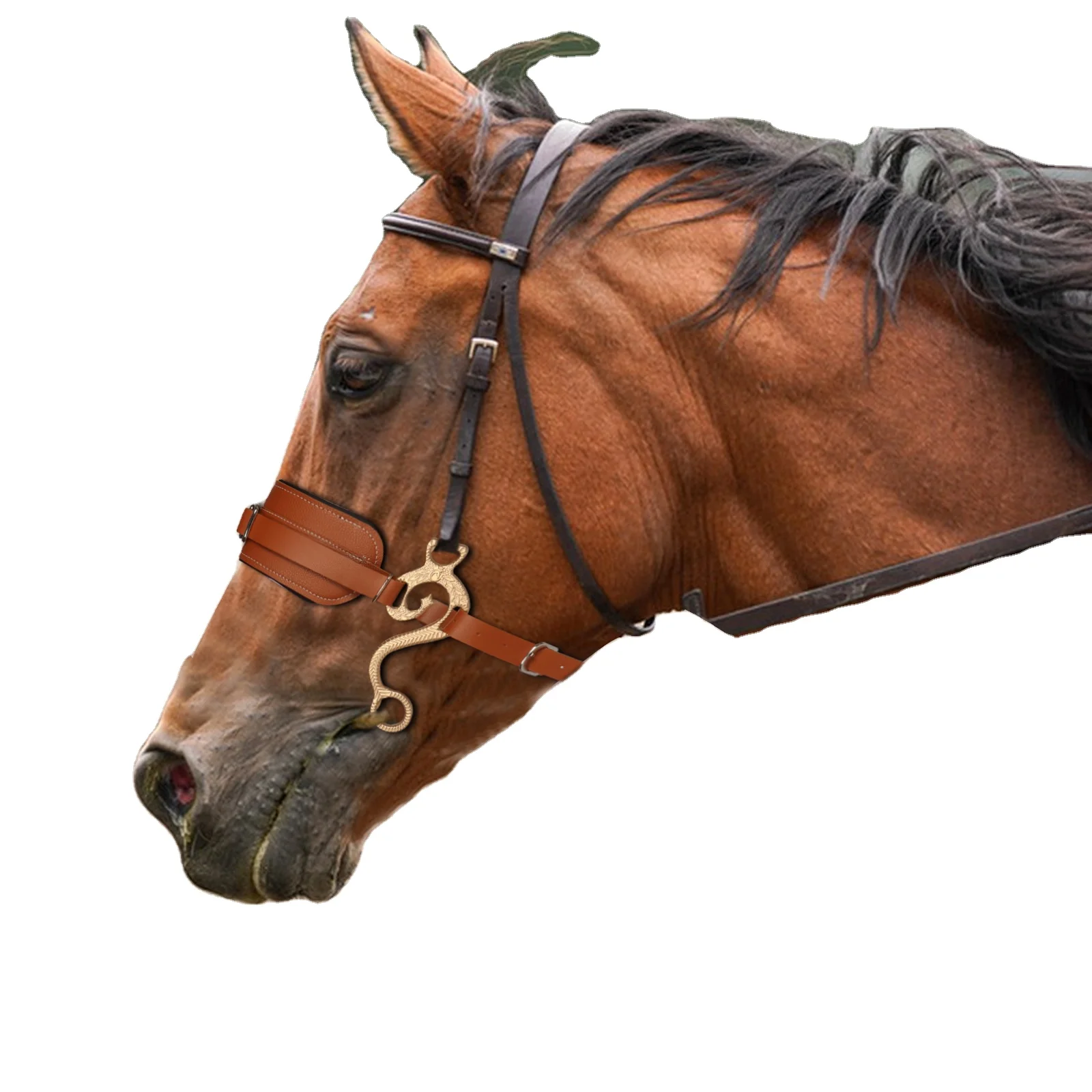 Wholesale New 1pc Bridle For Horse Halters Leather Ergonomic Comfortable Unfettered Halters Metal Buckle Equestrian Products
Wholesale New 1pc Bridle For Horse Halters Leather Ergonomic Comfortable Unfettered Halters Metal Buckle Equestrian Products