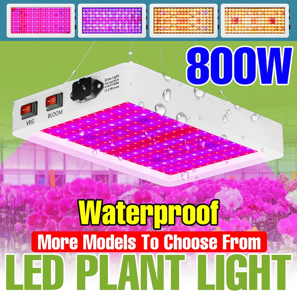 800W Full Spectrum LED Grow Lights Indoor Plant Cultivation Lamp Quantum Board UV/IR Greenhouse Tent Vegs Fruit Fill Lighting
800W Full Spectrum LED Grow Lights Indoor Plant Cultivation Lamp Quantum Board UV/IR Greenhouse Tent Vegs Fruit Fill Lighting