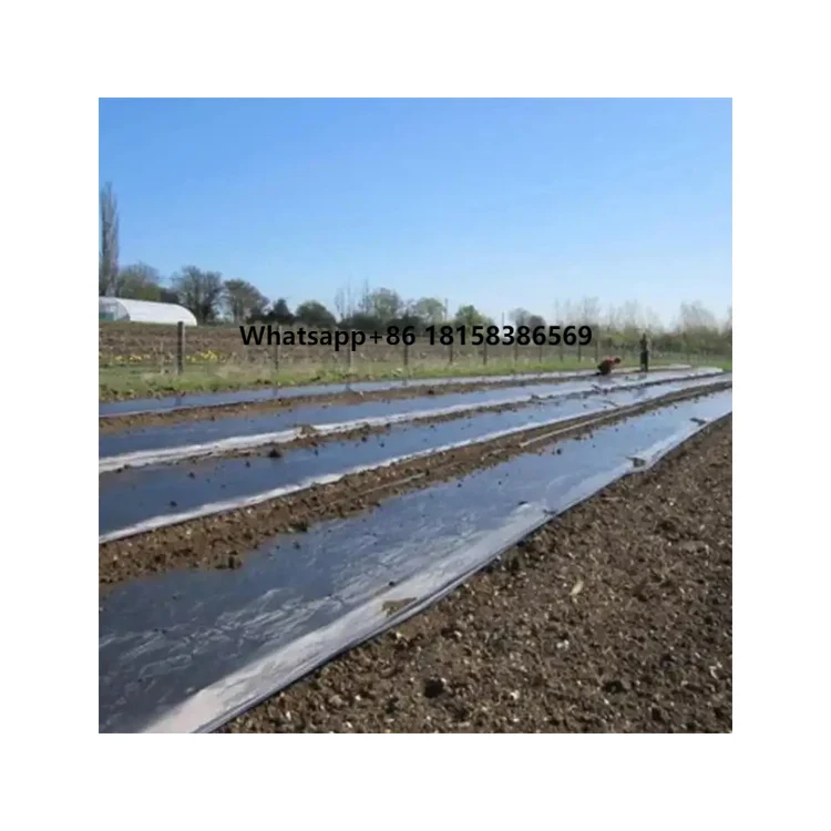 Wholesale Flexible Agricultural Mulch Film Products from China Manufacturers Factory Prices with Custom Cutting Service
Wholesale Flexible Agricultural Mulch Film Products from China Manufacturers Factory Prices with Custom Cutting Service