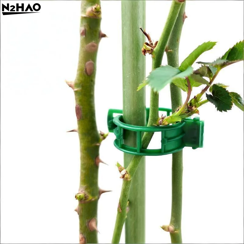Tomato Vine Support Clips 80 Pieces Plant Climbing Fixing Clips for Trellis Greenhouse Gardening
Tomato Vine Support Clips 80 Pieces Plant Climbing Fixing Clips for Trellis Greenhouse Gardening