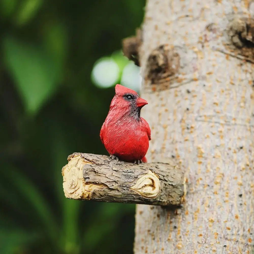 Micro Landscape Model Resin Bird Ornament Figurine Wall Mount Simulation Animal Statue Decorative Miniatures Sculpture Courtyard
Micro Landscape Model Resin Bird Ornament Figurine Wall Mount Simulation Animal Statue Decorative Miniatures Sculpture Courtyard