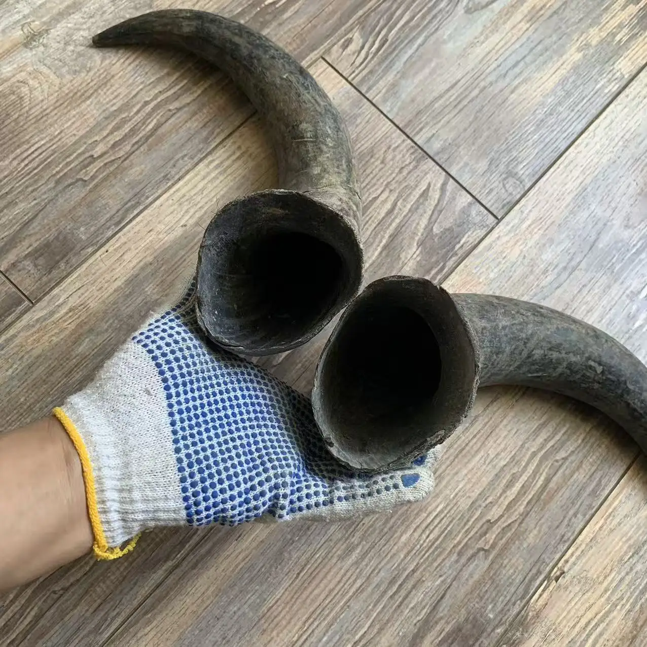 Natural yak horns, horn cup material, scraping board, comb, horn beads, raw materials, cosplay decorative crafts
Natural yak horns, horn cup material, scraping board, comb, horn beads, raw materials, cosplay decorative crafts