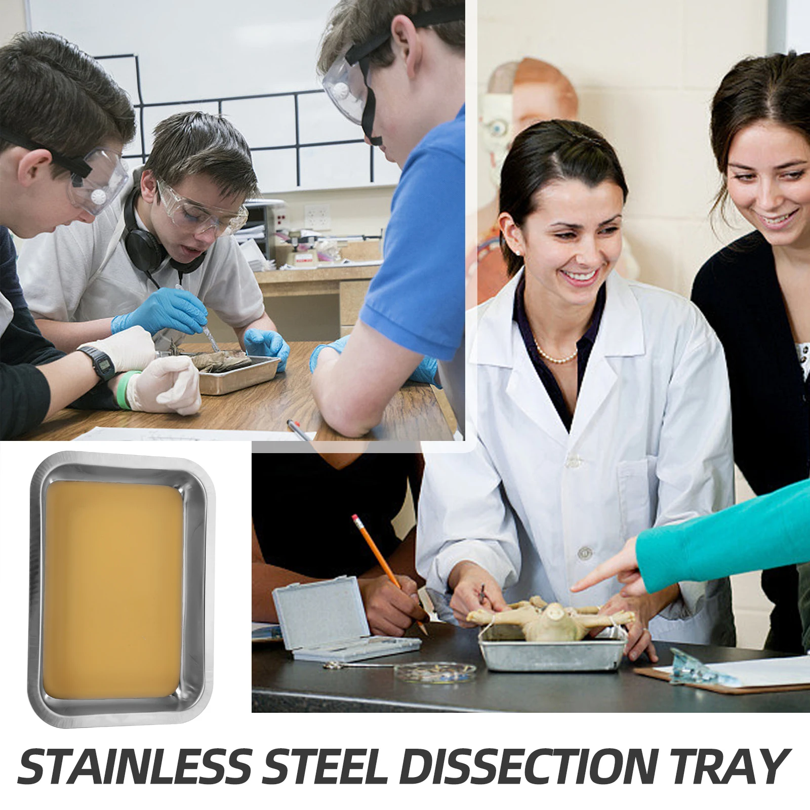 Stainless Steel Stainless Steel Dissection Plate Wax Plate for Biology Dissecting Tray Teaching Equipment Instruments
Stainless Steel Stainless Steel Dissection Plate Wax Plate for Biology Dissecting Tray Teaching Equipment Instruments