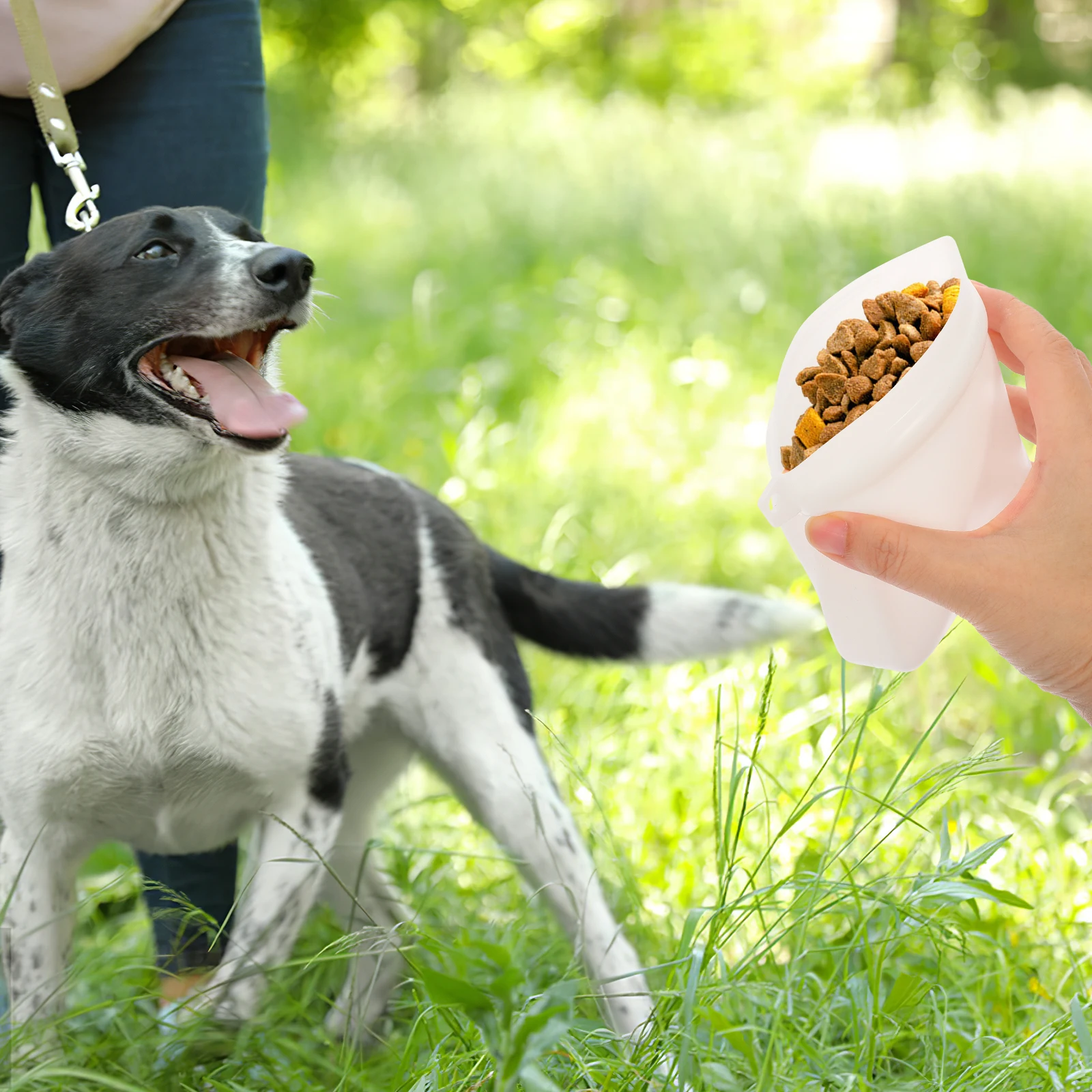Dog Food Pack Silicone Treat Pouch Portable Container White Snack Bags for Training Pet Supplies Dog Treat Bag
Dog Food Pack Silicone Treat Pouch Portable Container White Snack Bags for Training Pet Supplies Dog Treat Bag