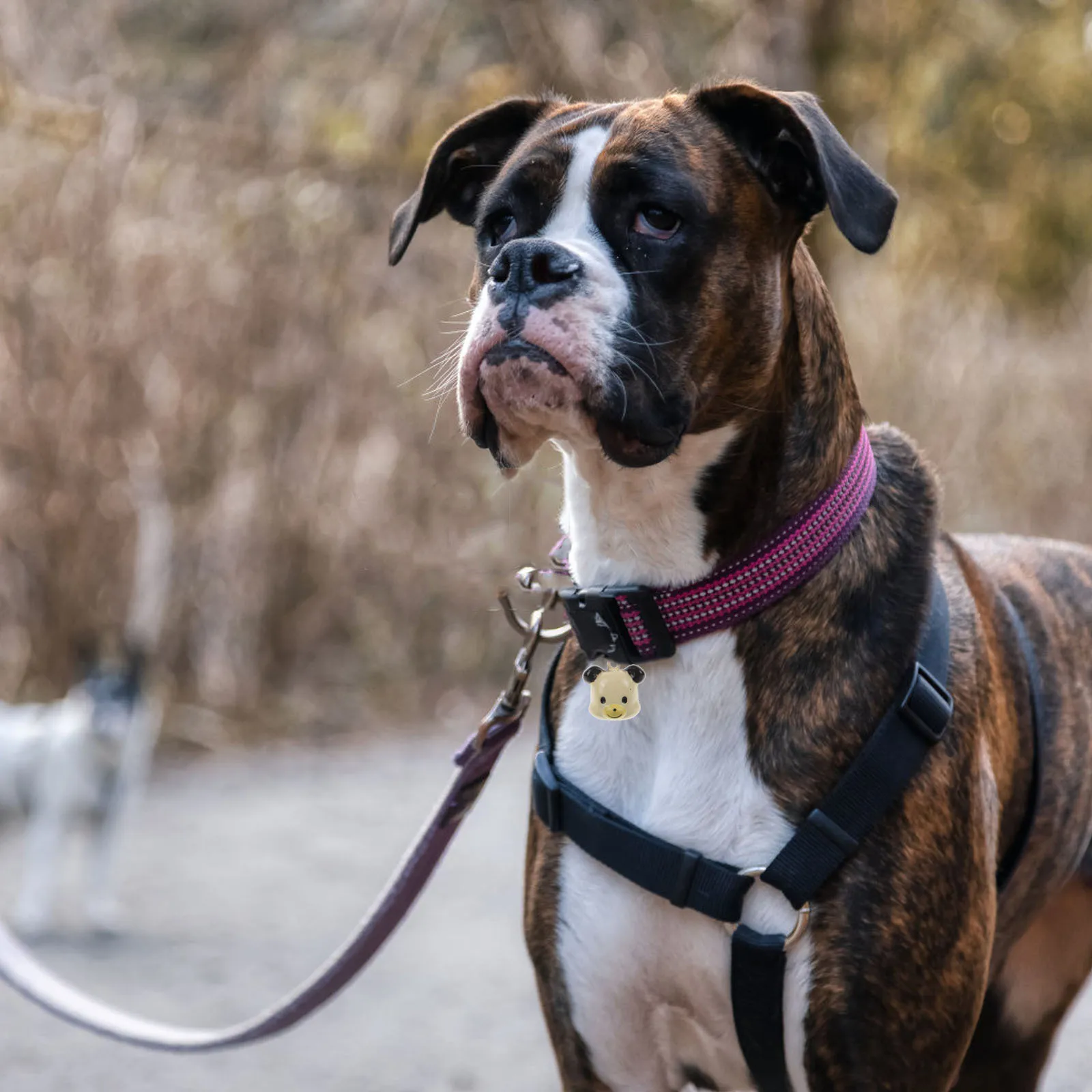 10pcs Pet Collar Bell Charm Mini Brass Bells For Cat Dog Collar Diy Christmas Craft Small Pet Accessories
10pcs Pet Collar Bell Charm Mini Brass Bells For Cat Dog Collar Diy Christmas Craft Small Pet Accessories