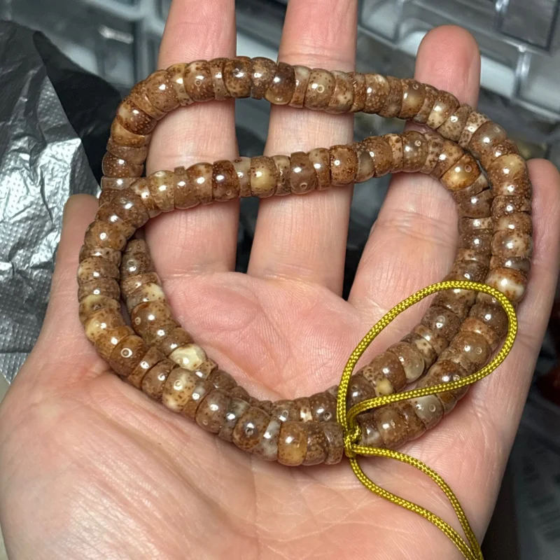 Natural Hainan Xingyue Jadified Seed Large Intestine Rosary Bracelet Accessories
Natural Hainan Xingyue Jadified Seed Large Intestine Rosary Bracelet Accessories