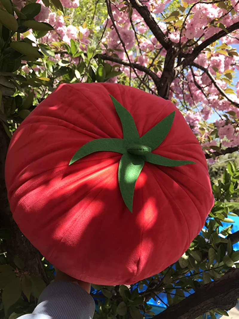 Super Soft Simulation Tomato Plush Toy Cute Big Red Vegetable Doll Sofa Pillow Birthday Gift 40cm 15.7inch DY10139
Super Soft Simulation Tomato Plush Toy Cute Big Red Vegetable Doll Sofa Pillow Birthday Gift 40cm 15.7inch DY10139