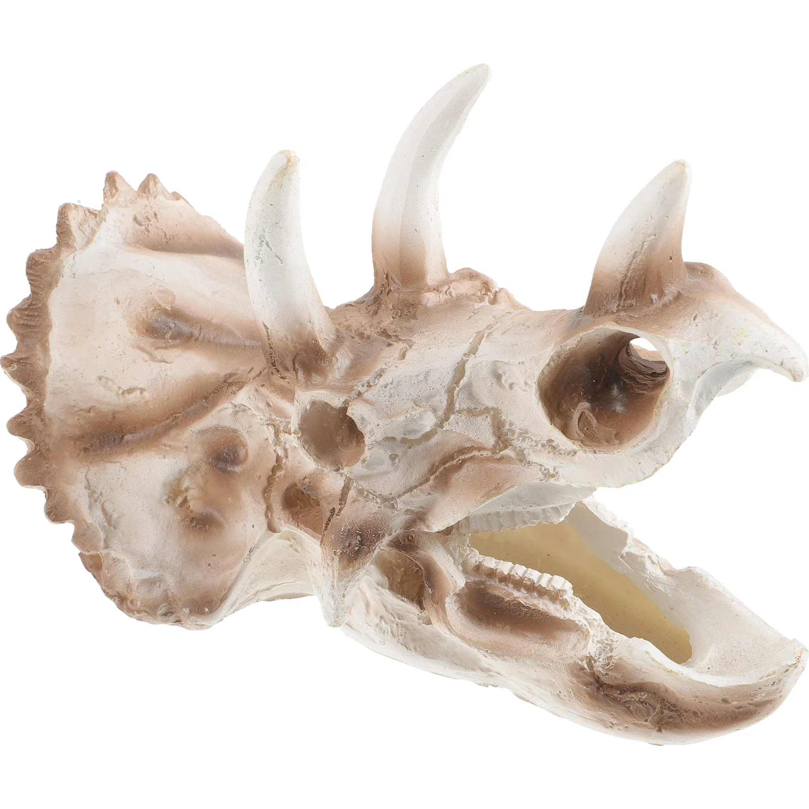Resin Dinosaur Skull Decorative Ornament Desktop Garden Courtyard Accessories Lightweight Simulated Bone Statue Home Office Gift
Resin Dinosaur Skull Decorative Ornament Desktop Garden Courtyard Accessories Lightweight Simulated Bone Statue Home Office Gift