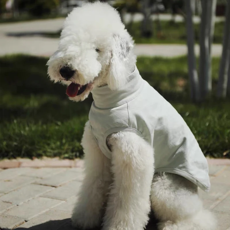 Дышащая хлопковая футболка для Bedlington, летний охлаждающий жилет для маленьких собак, мягкая весенняя одежда для дома
Дышащая хлопковая футболка для Bedlington, летний охлаждающий жилет для маленьких собак, мягкая весенняя одежда для дома