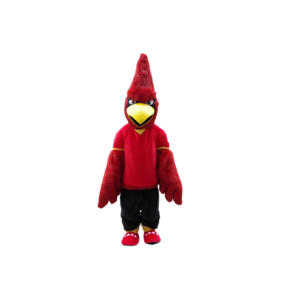 Костюм талисмана Red Jay, красный кардинал, необычный костюм на заказ, комплекты для косплея в стиле аниме, маскарадный костюм, карнавальный костюм 41560
Костюм талисмана Red Jay, красный кардинал, необычный костюм на заказ, комплекты для косплея в стиле аниме, маскарадный костюм, карнавальный костюм 41560