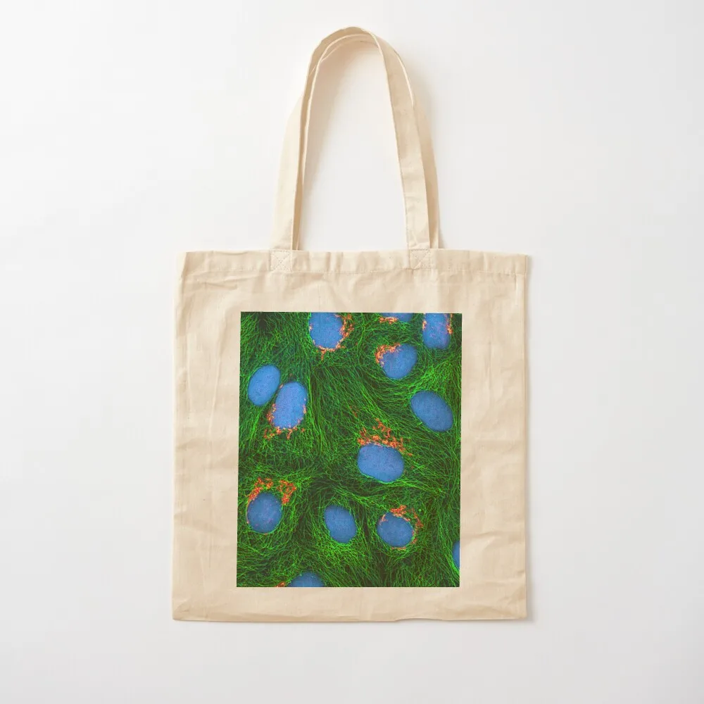 HeLa Cancer Cell, Microscope Photo Tote Bag tote bag women bags for women Custom bag
HeLa Cancer Cell, Microscope Photo Tote Bag tote bag women bags for women Custom bag