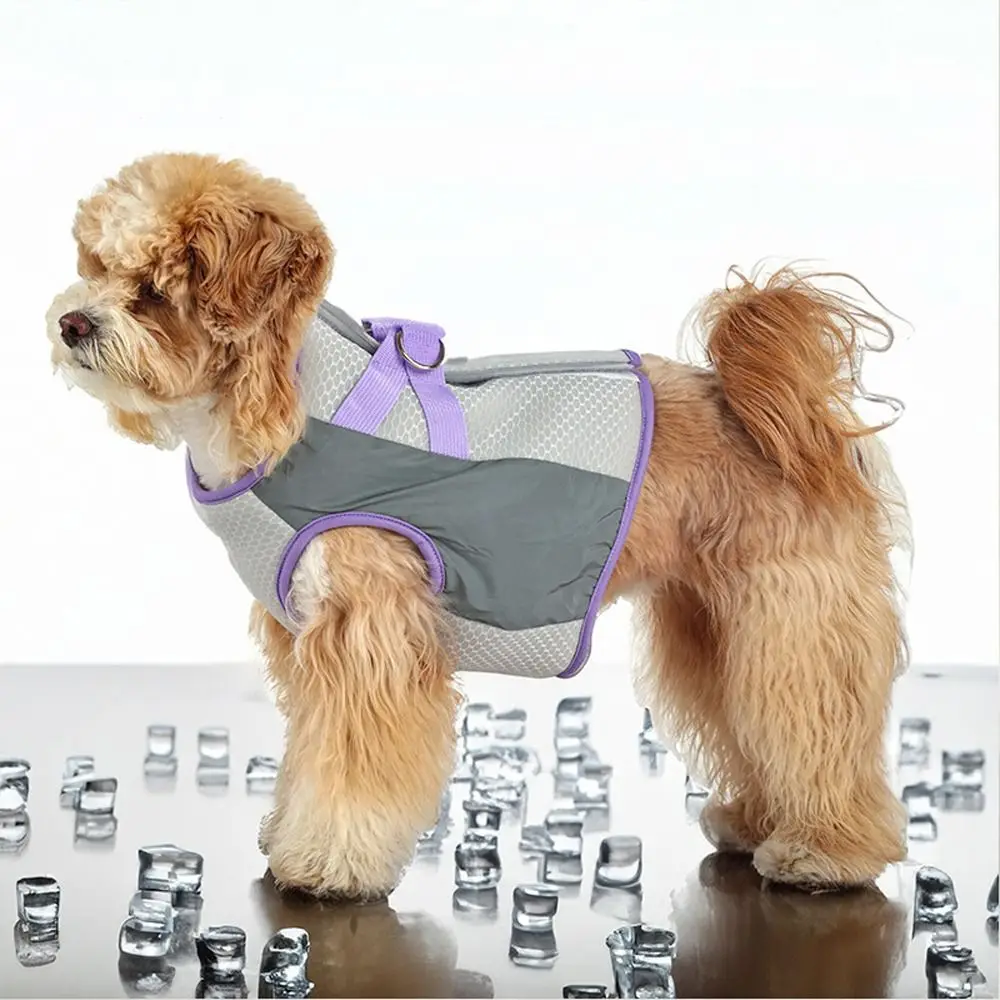 Summer Dog Cooling Vest Sun Protection Cooling Breathable Pet Short T-Shirt Mesh Comfortable Pet Dog Clothes Pet Supplies
Summer Dog Cooling Vest Sun Protection Cooling Breathable Pet Short T-Shirt Mesh Comfortable Pet Dog Clothes Pet Supplies