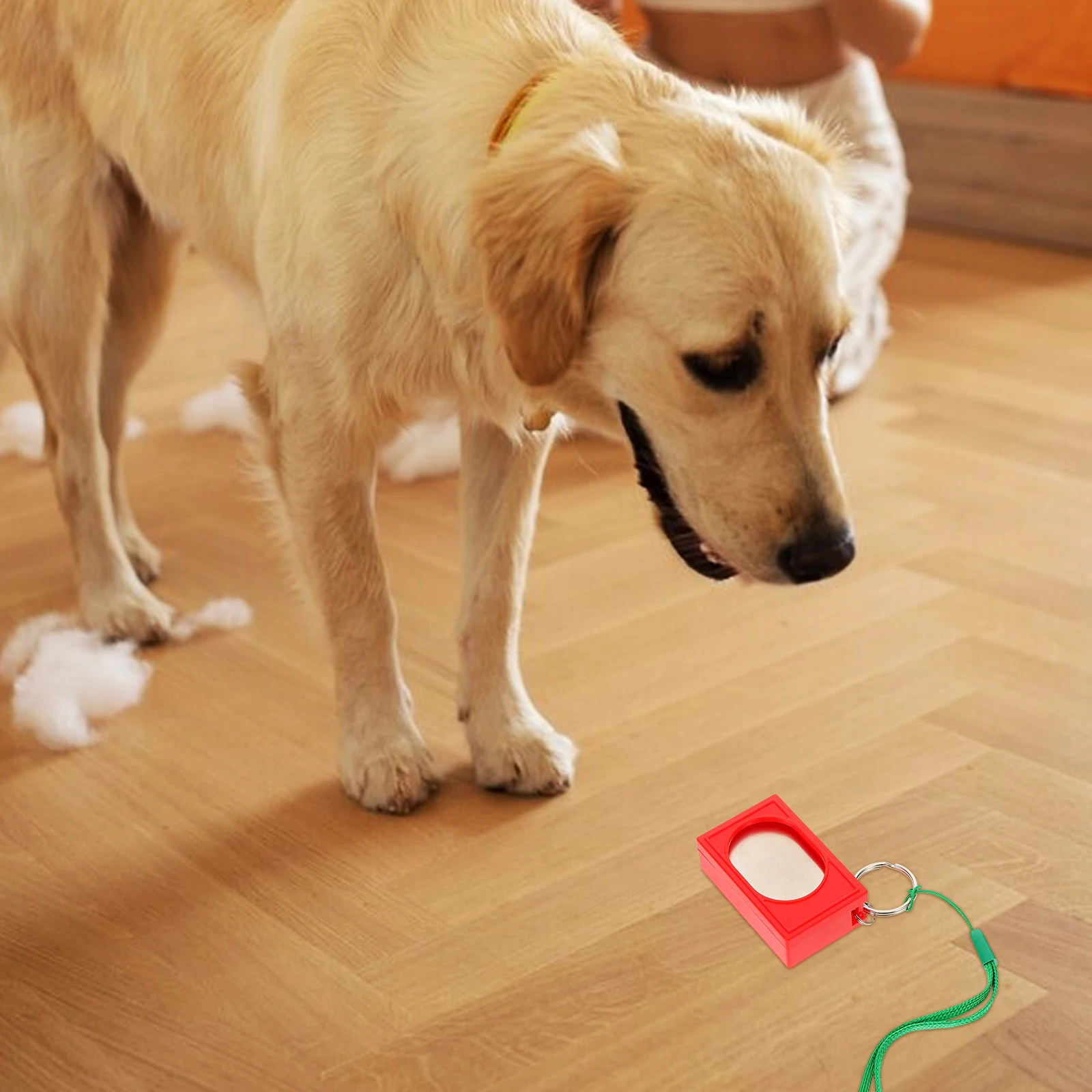 2pcs Training Clickers Pet Training Clickers Tool Pet Trainer Bird Kit Portable Supply Sound Vibration Breeds
2pcs Training Clickers Pet Training Clickers Tool Pet Trainer Bird Kit Portable Supply Sound Vibration Breeds