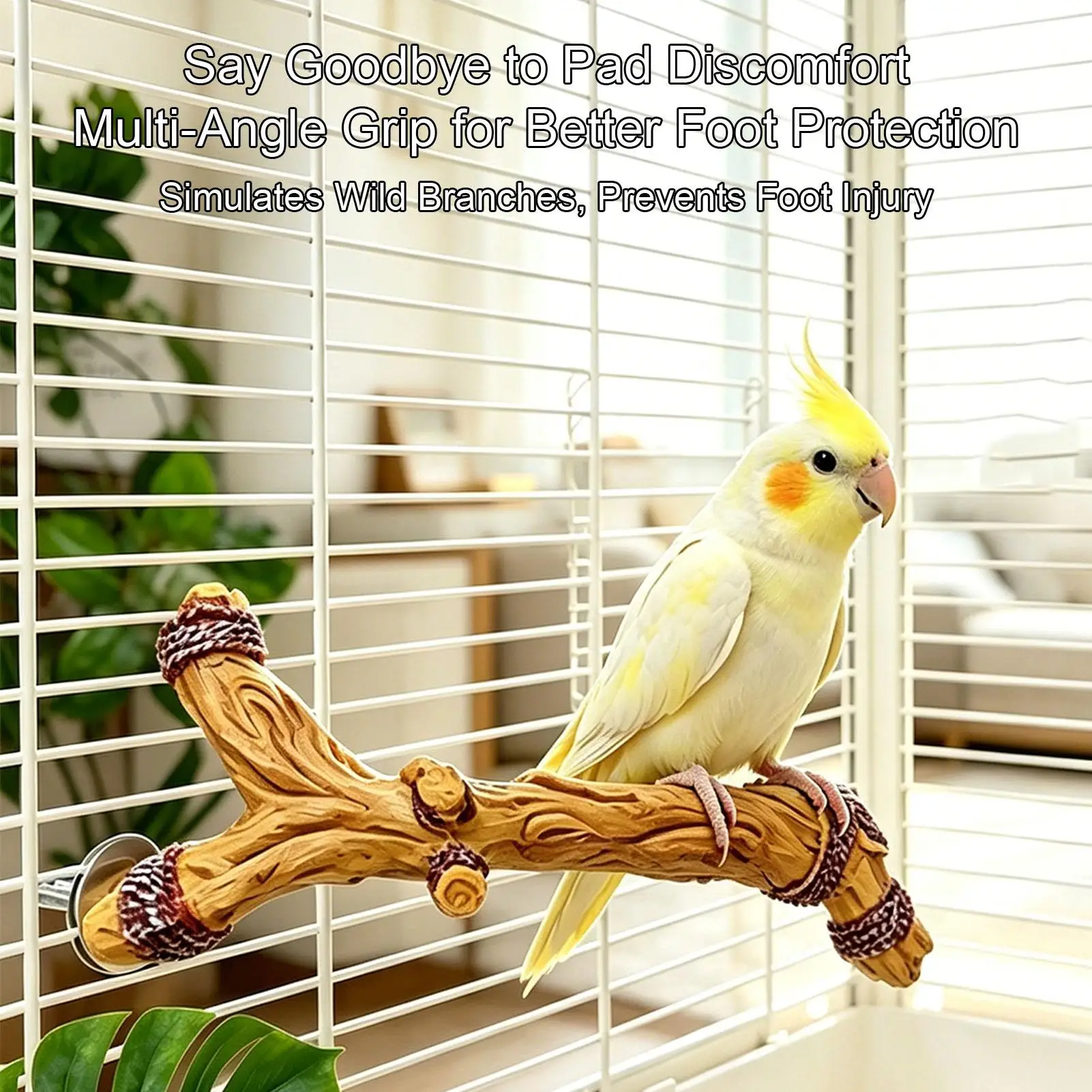 Bird Perches For Cage Resin Cage Accessories Anti-Slip Paw Grinding Parrot Stand Branch For Small Parakeet Cockatiel Lovebird
Bird Perches For Cage Resin Cage Accessories Anti-Slip Paw Grinding Parrot Stand Branch For Small Parakeet Cockatiel Lovebird