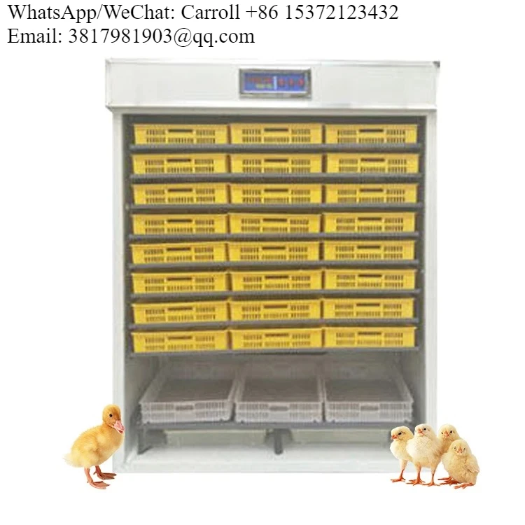 220V Hot Sale Dual Power Incubator Poultry 2000 Egg Incubator Chicken Egg Capacity
220V Hot Sale Dual Power Incubator Poultry 2000 Egg Incubator Chicken Egg Capacity