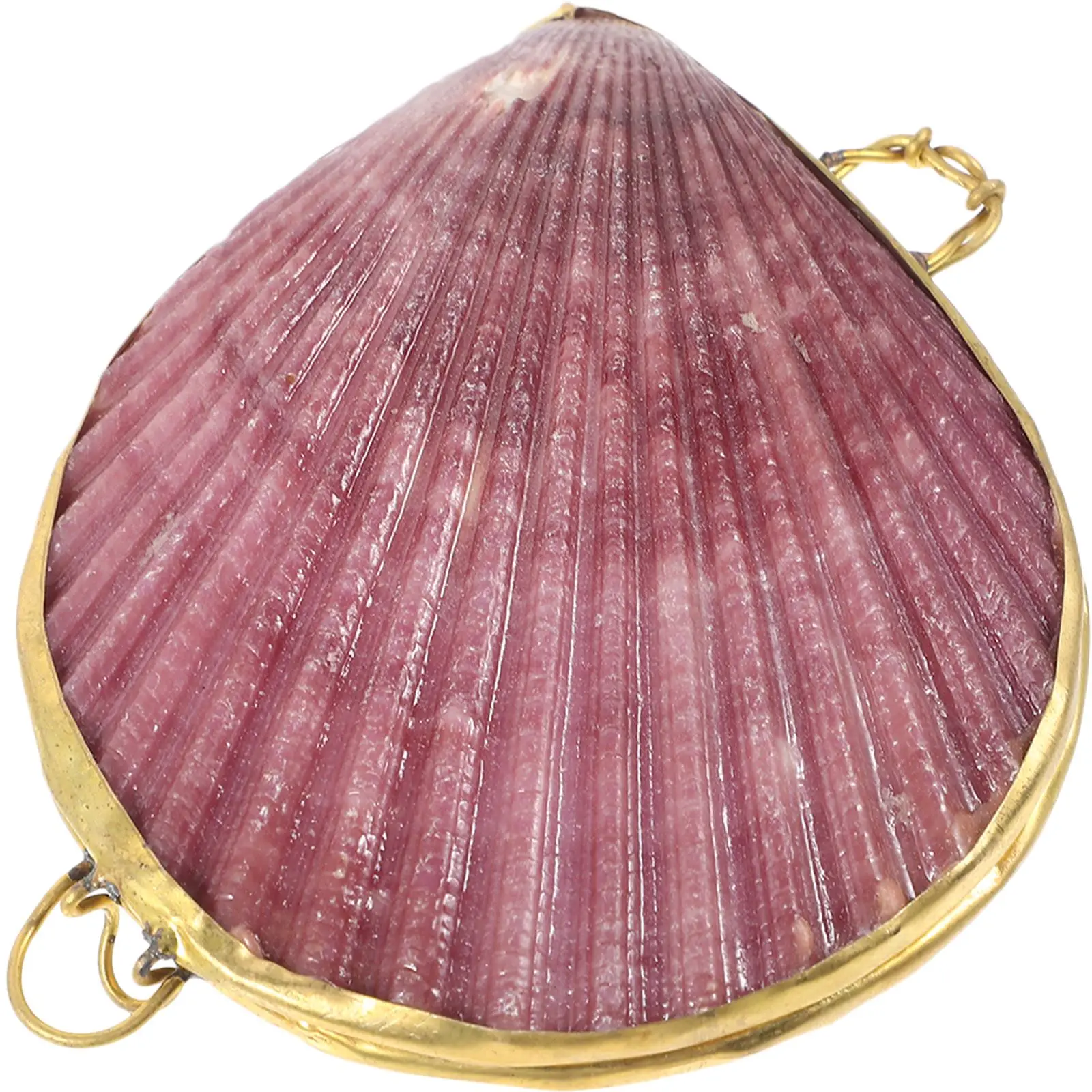 Fashion Jewelry Shell Box Jewelry Display Organizer Trinket Box Creative Seashell for Living Room Bedroom Table Decoration
Fashion Jewelry Shell Box Jewelry Display Organizer Trinket Box Creative Seashell for Living Room Bedroom Table Decoration