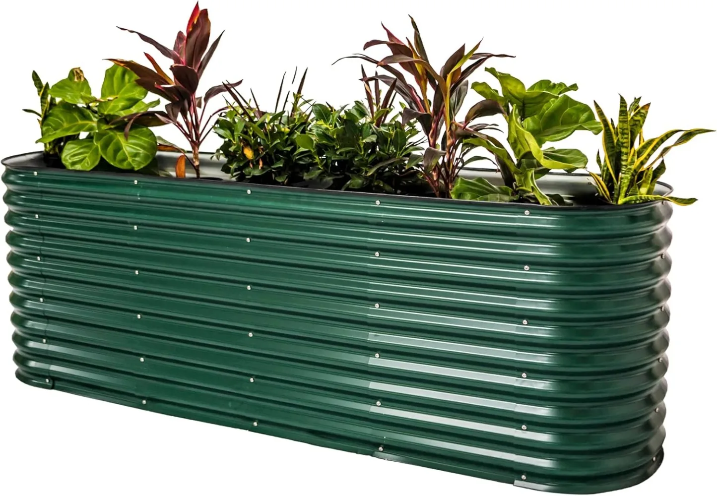 Vego garden 32" Extra Tall Raised Garden Bed Kits, 9 in 1 Modular Raised Planter Box for Vegetables Flowers Fruits Oval Metal
Vego garden 32" Extra Tall Raised Garden Bed Kits, 9 in 1 Modular Raised Planter Box for Vegetables Flowers Fruits Oval Metal