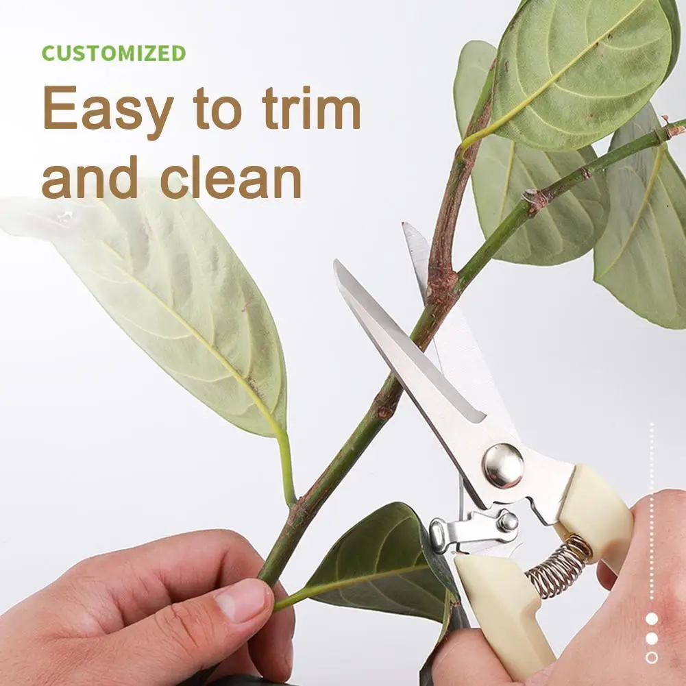 Pruning Shears Branch Shears Picking Fruit Flower Tree Shears Garden Branch Grafting Gardening Scissors Hand Tool
Pruning Shears Branch Shears Picking Fruit Flower Tree Shears Garden Branch Grafting Gardening Scissors Hand Tool