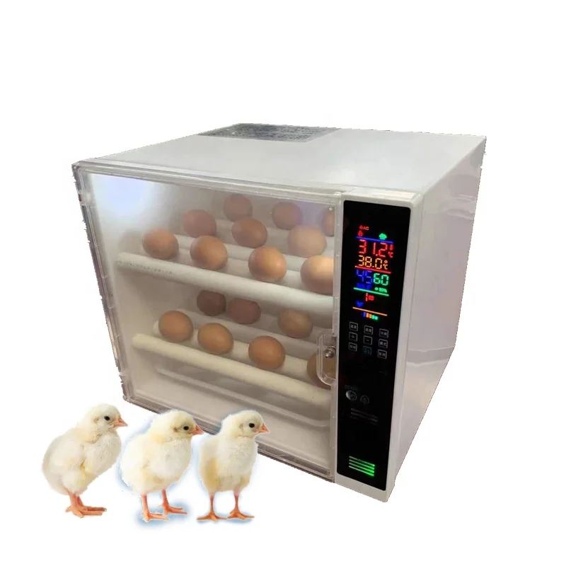 Chicken Duck Egg Incubator Hatching Machine Mini Fully Automatic 60 Egg Incubator
Chicken Duck Egg Incubator Hatching Machine Mini Fully Automatic 60 Egg Incubator