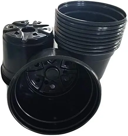 Черные пластиковые горшки для рассады, размер Trade Gallon, 50 штук (диаметр 6,5 дюймов x глубина 6,5 дюймов); вместимость 2,5 кварты.
Черные пластиковые горшки для рассады, размер Trade Gallon, 50 штук (диаметр 6,5 дюймов x глубина 6,5 дюймов); вместимость 2,5 кварты.