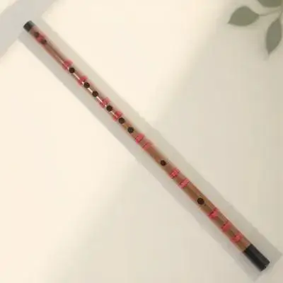 Smooth Bamboo Flute For Students Chinese Flute Lightweight Beginner Flute Professional Tone Holes
Smooth Bamboo Flute For Students Chinese Flute Lightweight Beginner Flute Professional Tone Holes