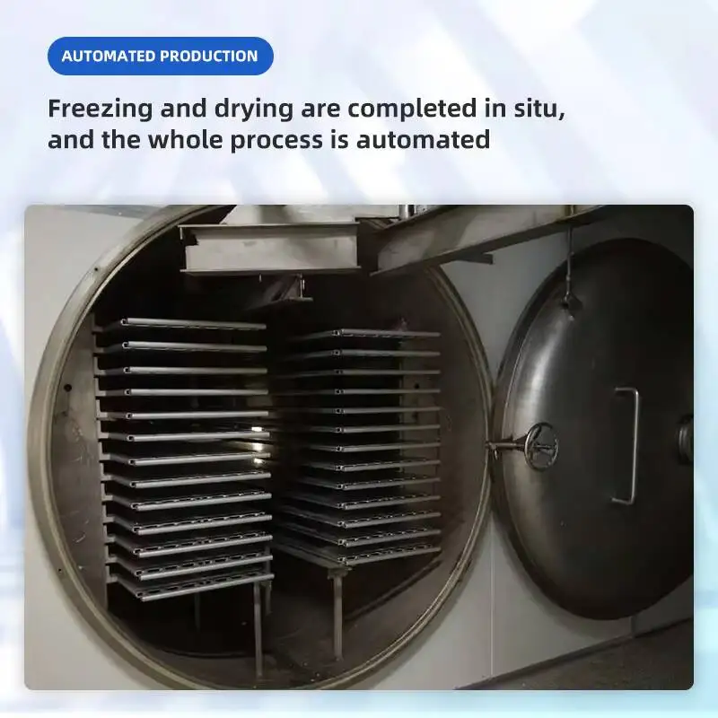 10Kg 50Kg 100Kg 200Kg 500Kg 2000Kg Vegetable Fruit Milk Dairy Products Pet Food Meat Bottle Dryer Freeze Drying Machine
10Kg 50Kg 100Kg 200Kg 500Kg 2000Kg Vegetable Fruit Milk Dairy Products Pet Food Meat Bottle Dryer Freeze Drying Machine