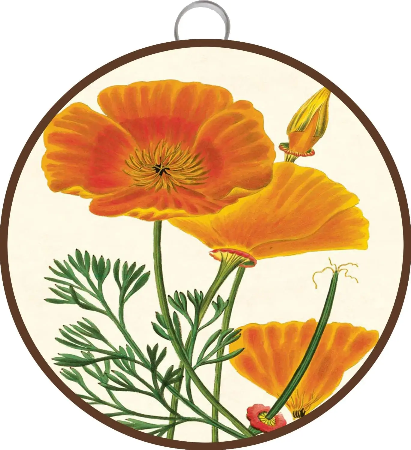 California Poppy Vintage Floral Poster, Poppy Floral Poster, Vintage Floral Poster, Plants Poster,Metal Sign Tin,Round Metal Tin
California Poppy Vintage Floral Poster, Poppy Floral Poster, Vintage Floral Poster, Plants Poster,Metal Sign Tin,Round Metal Tin