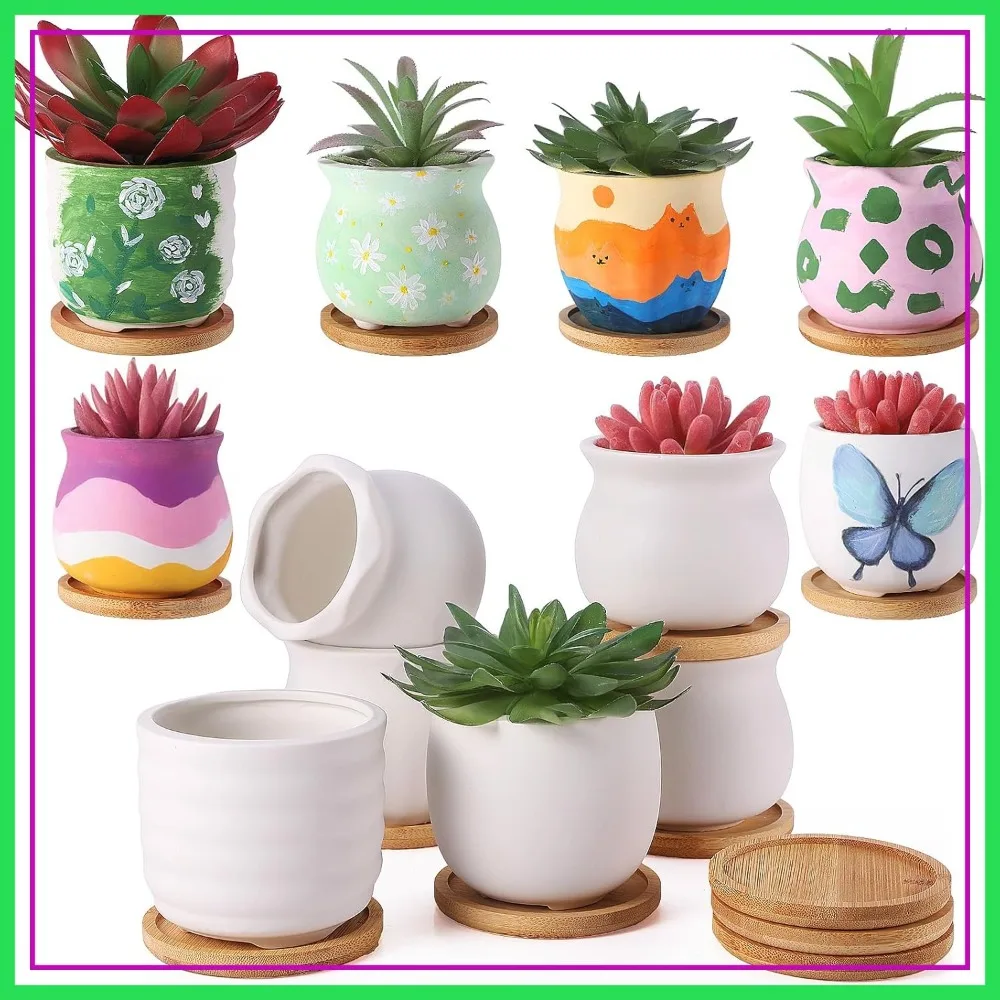18 Pcs 3.5 Inch Mini Succulent Pots with Bamboo Tray White Ceramic DIY Planters for Cactus with Drainage Hole
18 Pcs 3.5 Inch Mini Succulent Pots with Bamboo Tray White Ceramic DIY Planters for Cactus with Drainage Hole
